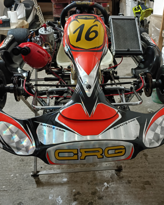 Go-kart Crg con motore Tm