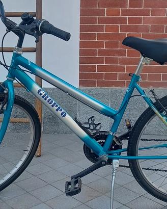 Bicicletta 