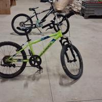 Rockrider 20 pollici