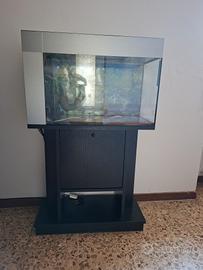 Acquario 