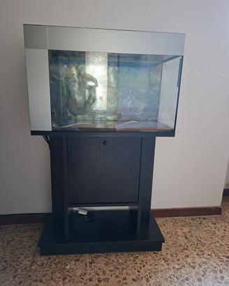 Acquario 