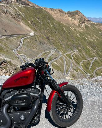 Harley Sportster Iron 883 2013 rossa colore raro