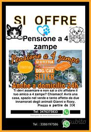 Rifugio per il tuo amico fidato