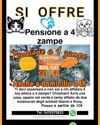 Rifugio per il tuo amico fidato