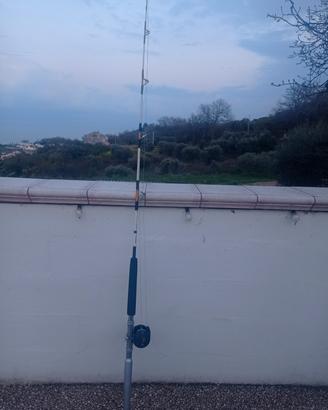 canne da traina 