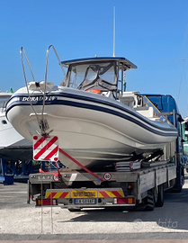 CAB Dorado 10