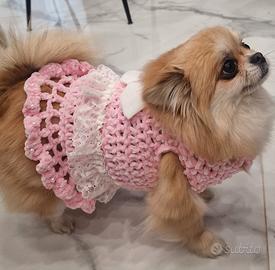 maglioncino, cappottino, pettorina, guinzaglio 