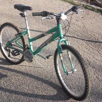 Bicicletta ragazzo/a