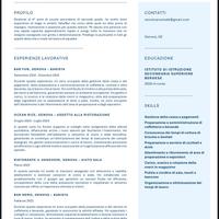 Barista/cameriera
