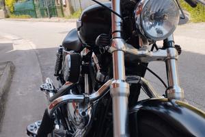 Harley Davidson 1200 XL custom