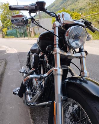 Harley Davidson 1200 XL custom