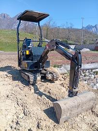 Mini Escavatore 12