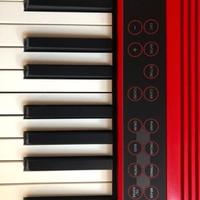 Roland GO-61K Keys (Rossa con custodia)