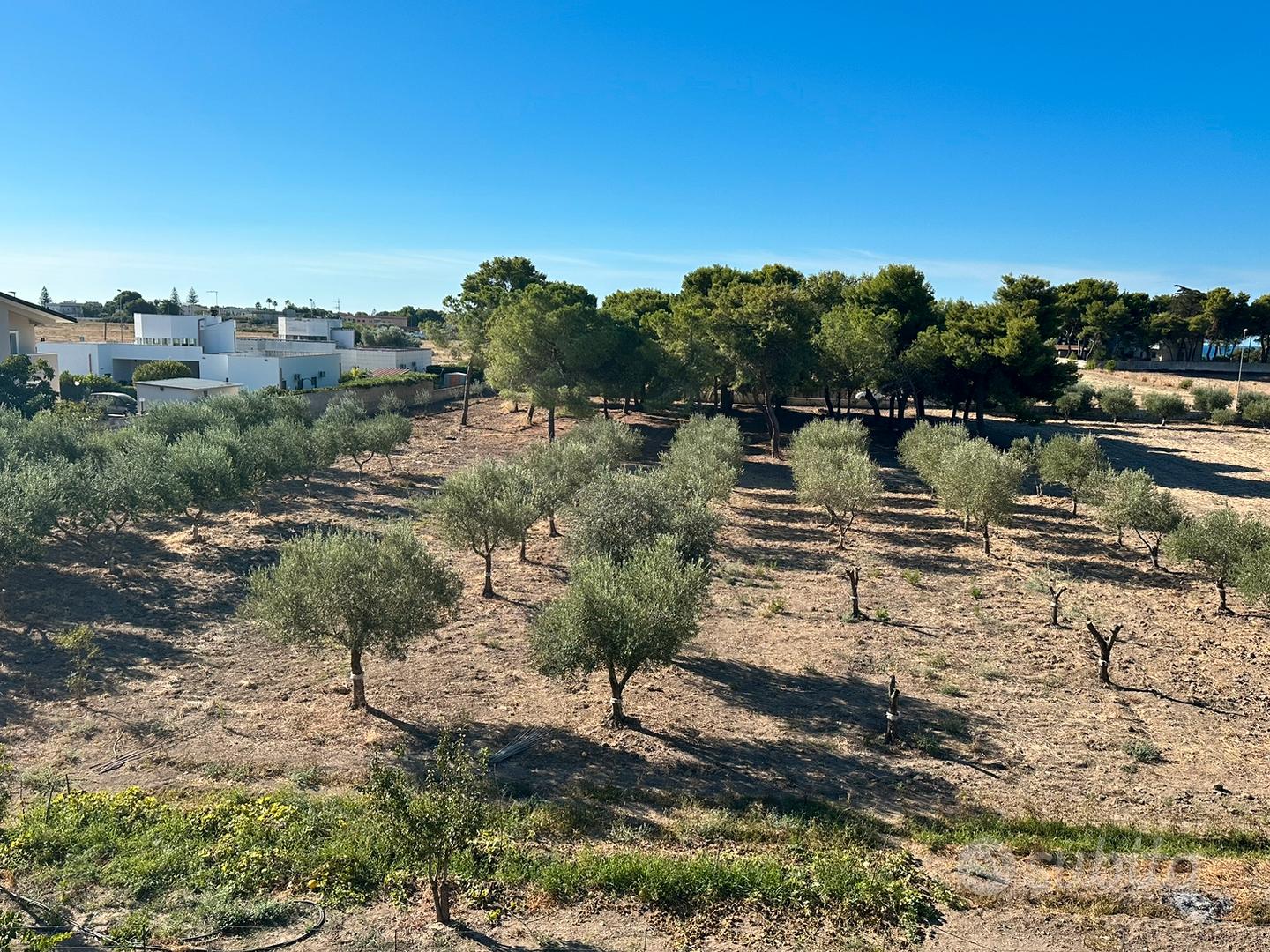 terreno agricolo - Vista 2