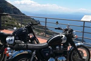 Triumph Bonneville T 100