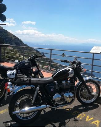 Triumph Bonneville T 100