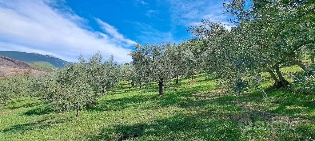 Terreno di 4000 m² a Spoleto - Vista 4
