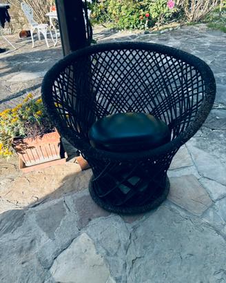 Poltrncina pavo driade