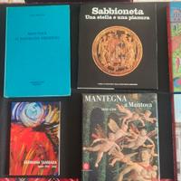 Libri su Mantova
