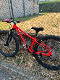 Bicicletta