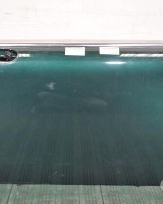 MINI R57 R55 R56 R58 R59 Porta sinistra