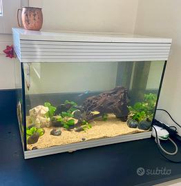 Acquario Askoll Pur L 66 led alba tramonto
