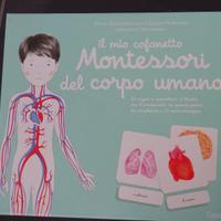 Cofanetto Montessori del Corpo Umano