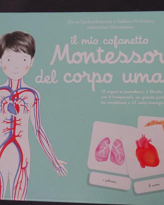 Cofanetto Montessori del Corpo Umano
