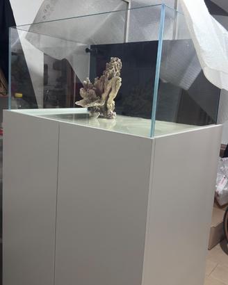 Acquario marino completo