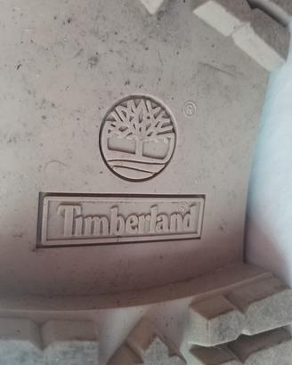 Scarponcini uomo Timberland 
