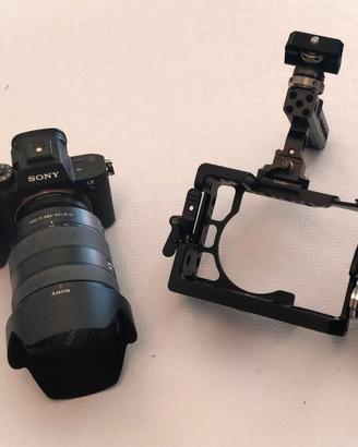 Sony A7SII + 24-105mm f/4 G OSS (E-Mount) + Cage
