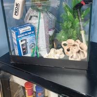acquario  Aqua Ristica con accessori 
