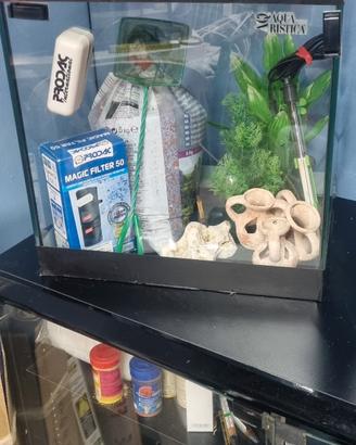 acquario  Aqua Ristica con accessori 