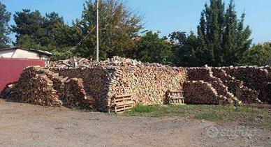 legna da ardere 