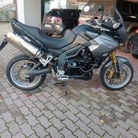 Triumph Tiger SE 1050 