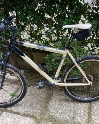 Mountain bike