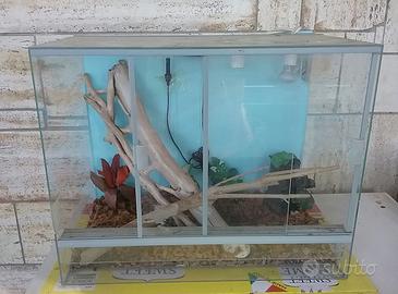 TERRARIO 50x40x30cm allestito