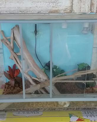 TERRARIO 50x40x30cm allestito
