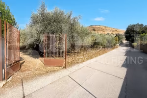 Terreno Agricolo Bellona [Cod. rif 3328126VCG]
