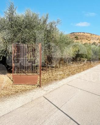 Terreno Agricolo Bellona [Cod. rif 3328126VCG]