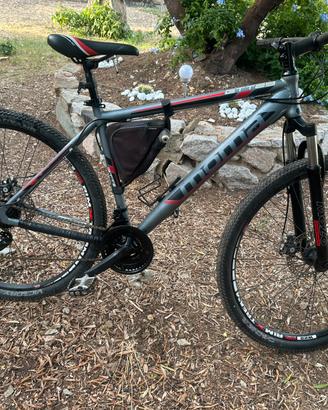 Bici mountainbike