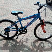 Bici bambino raggio 20