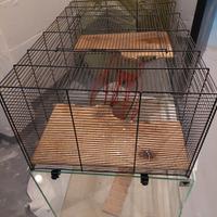 Gabbia per roditori o rettili