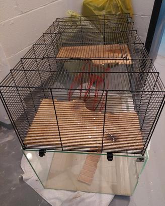 Gabbia per roditori o rettili