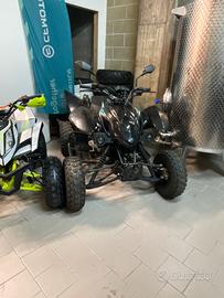 Quad ACCES EXTREME 490