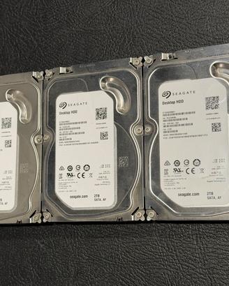 3 dischi HDD Seagate Desktop ST2000DM001 da 2TB