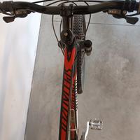 Bicicletta MTB specilalized