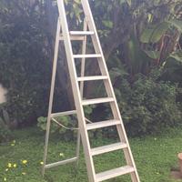 Scala allumino  professionale 8 grad.  FRIGERIO