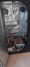 Grow box dobermann 