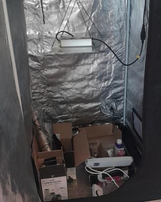 Grow box dobermann 